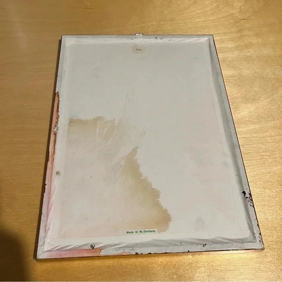 Vintage Framed Pressed Dried Flowers Boho Style Made W. Germany 9”x12” - Picture 4 of 7